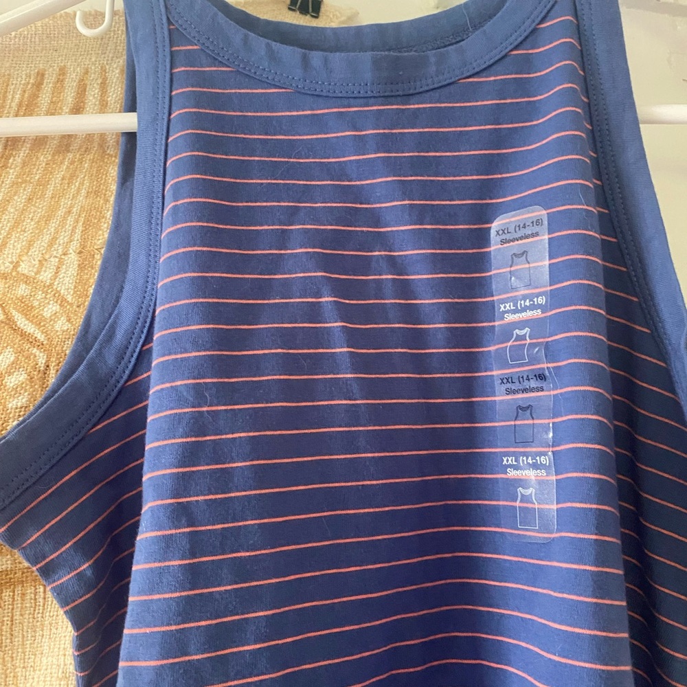 Gap Blue and Pink Striped Tank Top